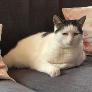 Meet your Posher, Briana